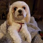 Sherry Goff - @sherry.goff - Instagram