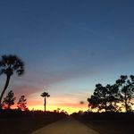 Sherry Gomez - @jrtroop776 - Instagram