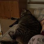 Sherry Finley - @sherry.goodson - Instagram