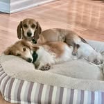 Sherry Goodson Hill - @shersher78 - Instagram