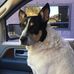 Sherry Goodson - Facebook