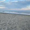 sherrygrabowski0 - @sherrygrabowski0 - TikTok