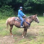 Sherry L Grove - @sherryredick - Instagram