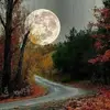Sheri Guenther - @parisfalls552 - TikTok