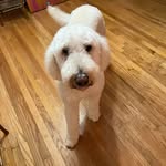 Sherry Gustafson - @ms._g.tutor - Instagram