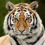 Sherry Hampton - @sherry_hampton - Instagram