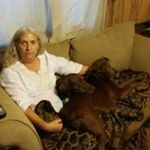 Sherry Hancock - @hancocksherry - Instagram