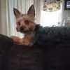 sherryhancock17 - @sherryhancock17 - TikTok