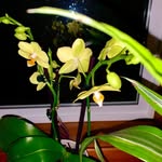 Sherry Munn - @sherry_handley53 - Instagram