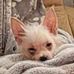 Sherry Hanes - Facebook