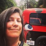 Sherry Tobin Haney - @ladybugdriver - Instagram