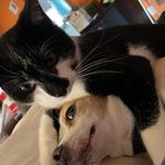 Sherry Wilker Haney - @sherrywilkerhaney - Instagram