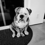 Sherri Hanlon - @babyrhino561 - Instagram