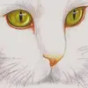 sherryharder - @sherryharder - TikTok