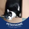 Sherry Hardy - @user653527373 - TikTok