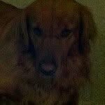 sherryhaught - @sherryhaught - Instagram