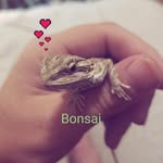 Sherry Hauser - @sherry.hauser - Instagram