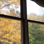 Sherry Haynes - @sherry.haynes.520 - Instagram