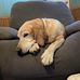 Sherry Head - Facebook