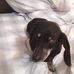 Sherry Head - Facebook