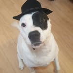 Sherry Heaton Campbell - @sherry347 - Instagram