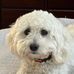 Sherry Hedrick - Facebook