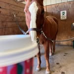 Sherry Heller - @sherryhellee - Instagram