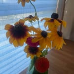 Sherry Hellerud - @sherryhellerud - Instagram
