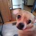 Sherry Hernandez - Facebook