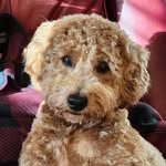 Sherry Runkle Hess - @sherry.r.hess - Instagram