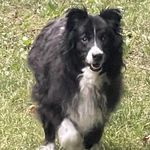 Sherry Hewitt - @sherrygraff18 - Instagram