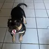 sherry hewitt - @sherry.hewitt - TikTok