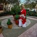 Sherry Higgins - Facebook