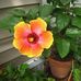 Sherry Hight - Facebook