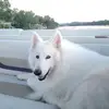 sherryhilbert622 - @sherryhilbert622 - TikTok