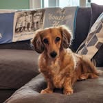 Sherry Tyszelman Holcomb - @sherry_holcomb - Instagram
