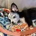 Sherry Hook - Facebook