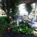 Sherry Hook - Facebook