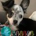 Sherry Hook - Facebook