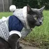 sherryhopper727 - @sherryhopper727 - TikTok
