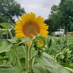 Sherry Horn - Facebook