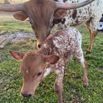 Sherry Sloan Huskey - @sherrysloanhuskey - Instagram