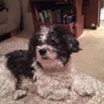 Sherry Huskins - @huskinssherry - Instagram