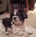 Sherry Huskins - Facebook