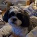 Sherry Hyder - Facebook