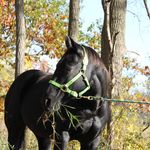 Sherry Murray Isaacs - @sherry_murray_isaacs - Instagram