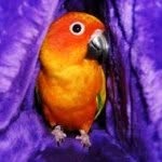 Sherry Ison - @sherryleeison - Instagram