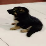 @jarmansherry2025 - Instagram