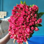 Shahria Jaman - Facebook
