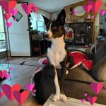Sherry Jarmon - @jarmonsherry - Instagram
